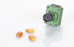 SENTERA Standard Single NDVI