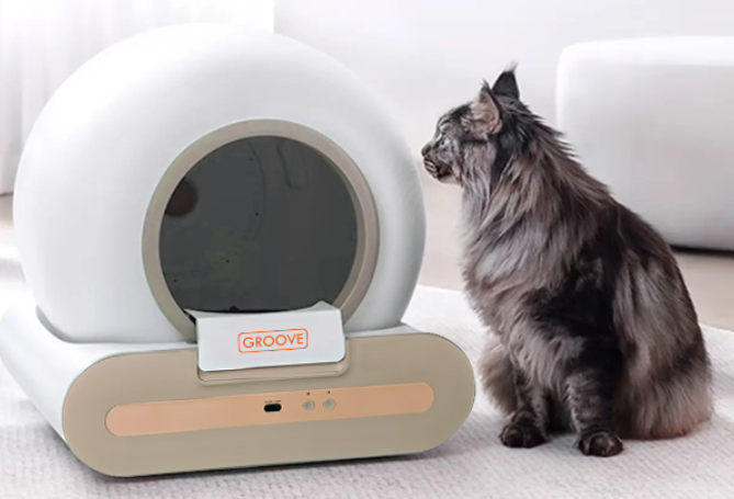 Akıllı Kedi Tuvaleti