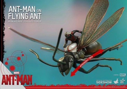 Hot Toys - Ant-man on Flying Ant Figure