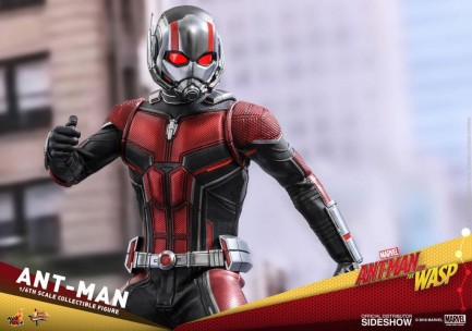 Hot Toys - Hot Toys Ant-Man Sixth Scale Figure MMS497