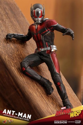 Hot Toys Ant-Man Sixth Scale Figure MMS497 - Thumbnail