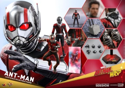 Hot Toys Ant-Man Sixth Scale Figure MMS497 - Thumbnail