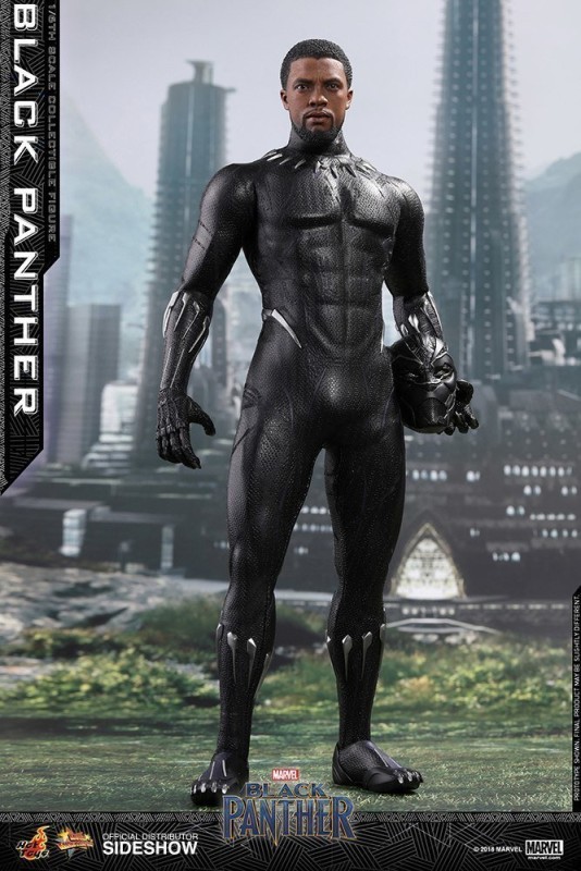 Black Panther Sixth Scale Figure