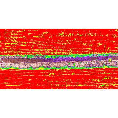 DJI Phantom 4 Multispectral Agricultural Drone