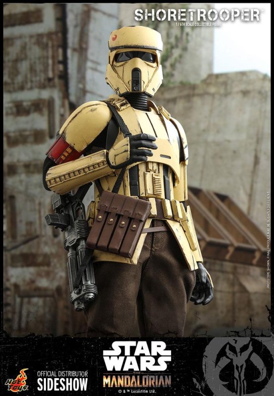 Hot Toys Shore Trooper Sixth Scale Figure TMS Star Wars: The Mandalorian 907515