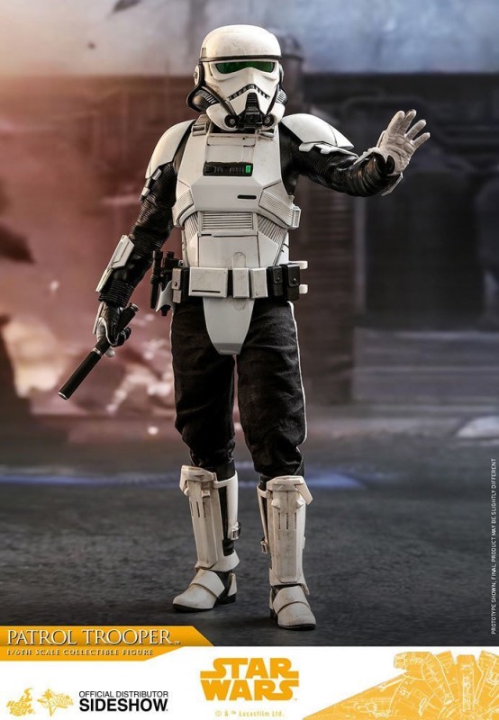 Patrol Trooper Sixth Scale Figure