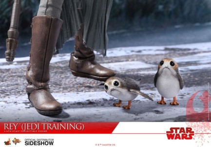 Hot Toys Rey Jedi Training Sixth Scale Figure - Thumbnail