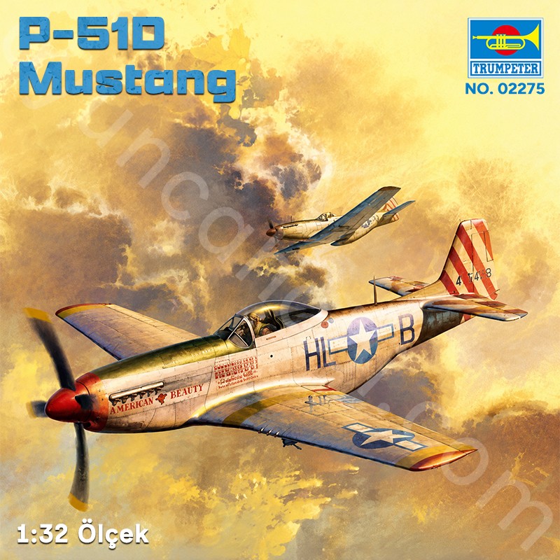 Trumpeter 02275 P-51D Mustang Maket Model Kit