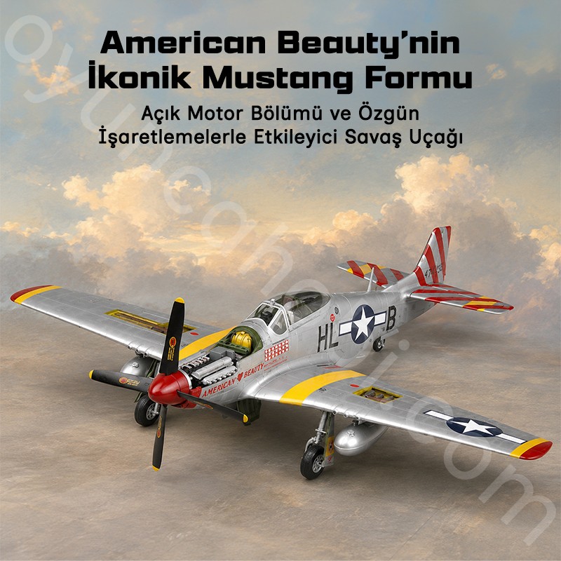 Trumpeter 02275 P-51D Mustang Maket Model Kit