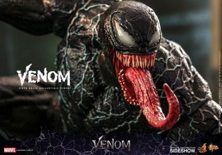 Hot Toys - Hot Toys Venom Sixth Scale Figure 907276 MMS590